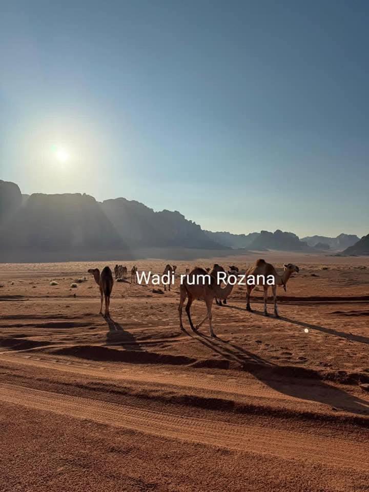 Wadi Rum Rozana Camp Exterior foto